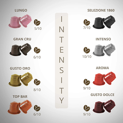 Гарибалди кафе капсули Топ Бар 10 бр. NESP система